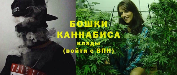 дмт Богданович