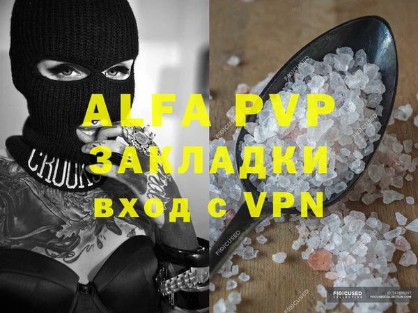 дмт Богданович