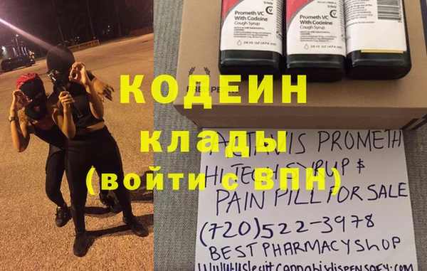 дмт Богданович