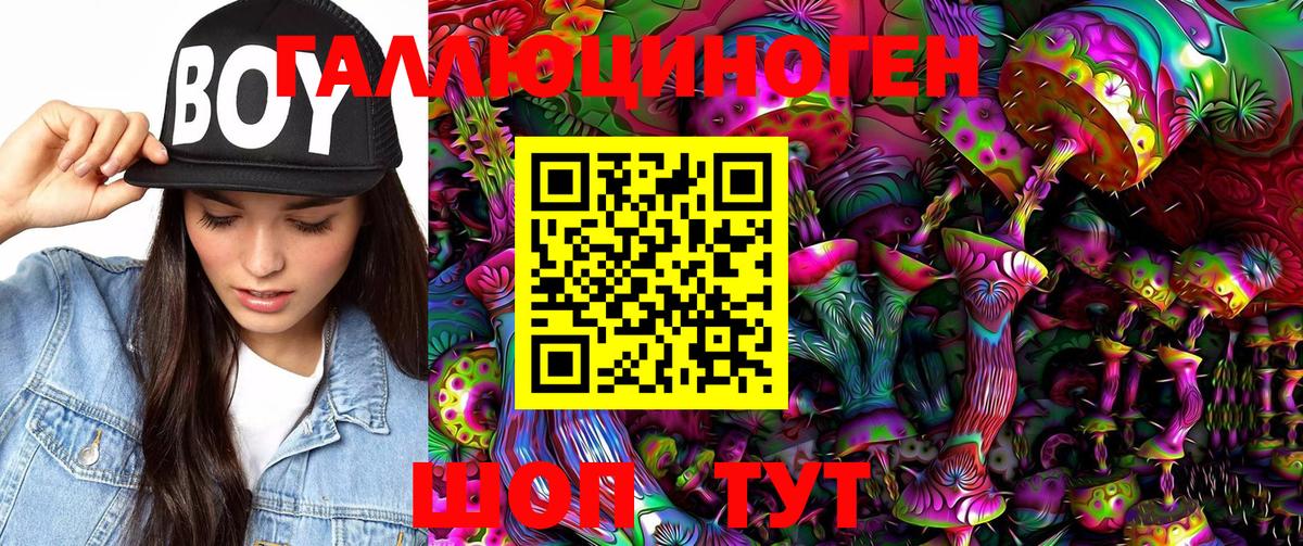 Галлюциногенные грибы мицелий  купить наркотик  Городец 